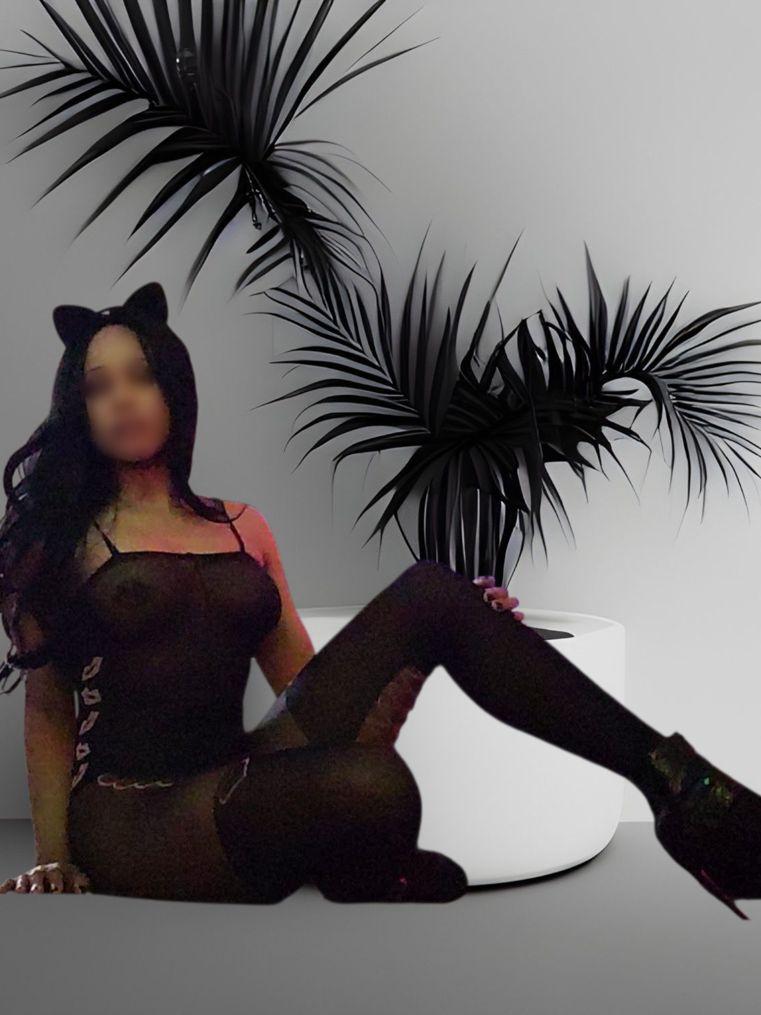Macie Profile, Escort 3233217522