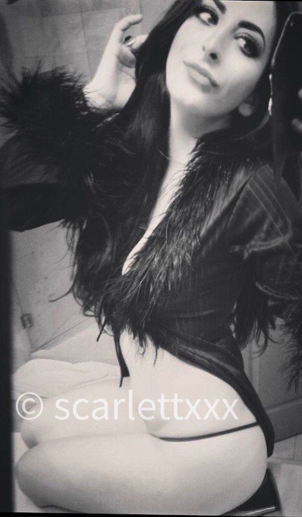 Scarlett Profile, Escort 8188699261